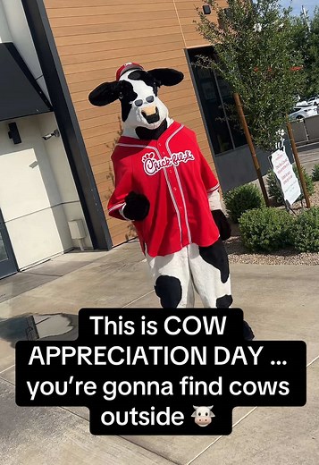 There’s a cow outside… 👀 Well, it’s Cow Appreciation Day, you’re gonna find cows outside! 🐄🐮 #chickfila #cowappreciationday