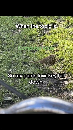 #bird #grass #computer #green #viral_video