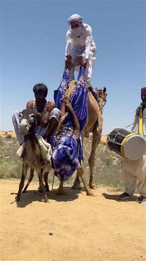 طبول البدو والجمل أشعلوا الصحرا