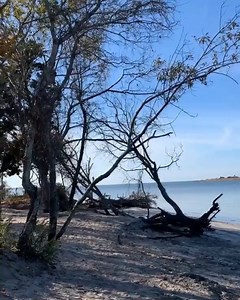 13K views · 865 reactions | POV: You’re spending a day on Assateague. ☀️Enjoy a gorgeous sunrise, nature-filled bliss, and even wild horses! : Instagrammer @triangletravelingcaveman | Ocean City, MD - Tourism | Facebook