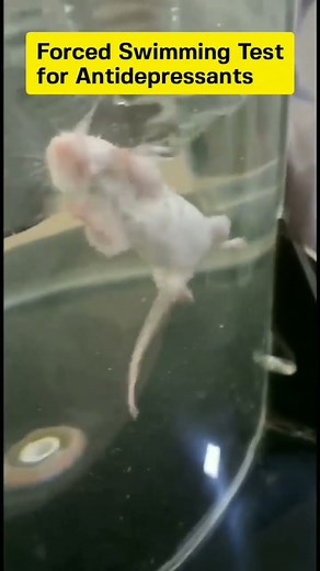 The Forced Swim Test: A Model of Depression