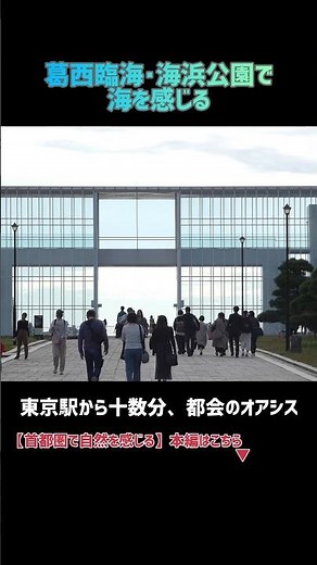 都心のオアシスを訪れる【葛西臨海･海浜公園】 #東京 #東京観光 #葛西臨海公園
