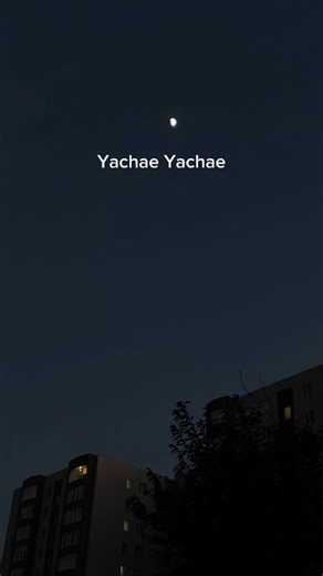 Exploring the Magic of Video Editing with YachaeyachaeYalaeyalae