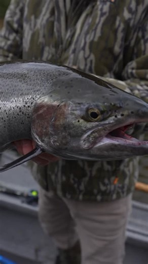 Phenix Rods | Getting after it! 😤🔥 Phenix Black Chrome Casting Rods built for spoons, spinners, drift, or float fishing! Ultra-sensitive premium carbon... | Instagram