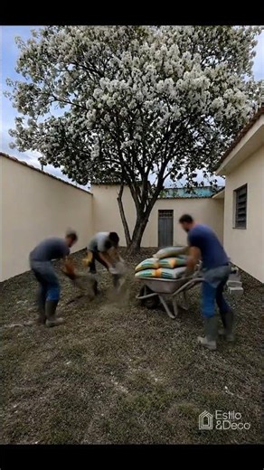 El lapacho blanco se llevó todo el protagonismo 🤍🌳