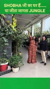 SHOBHA जी का घर हैं......या जीता जागता JUNGLE