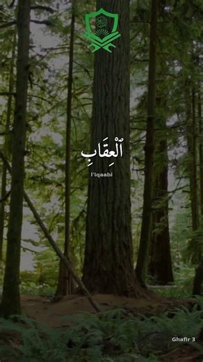 Quran Ghafir Part 1 [40:1-3] | The Mighty and Knowing: Allah's Attributes