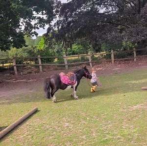 52K views · 4.1K reactions | My little knight in shining armour! | The Pony Pals Family Storybooks | Facebook