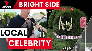 35K views · 218 reactions | Calvin, a pine tree shaped as a dog has fast become a local celebrity. Download the 7NEWS app: 7news.link/7newsapp #7NEWS | 7NEWS Sydney | Facebook