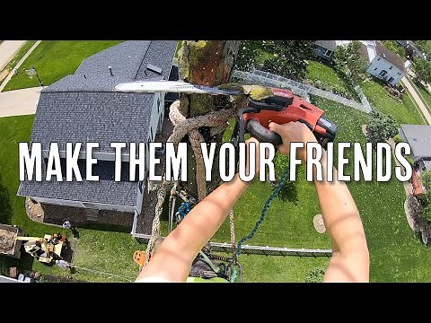 How to Deal with Angry Neighbors