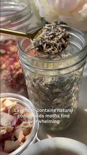 DIY Moth Sachet That Actually Works — No Chemicals, No Mothballs