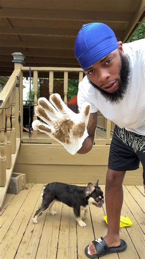 Furry High High Glove Wipes for Dogs — Quick Clean Without a Bath