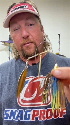 Are spinnerbait trailers over hyped? #question #spinnerbait #fishing Nichols Lures | JT Kenney