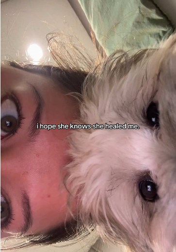 Lhasa Apso: The Healing Power of My Puppy