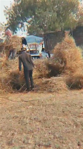 Gadi sarkar ke ba |ट्रैक्टर shorts videos| thareser #sanjayyadavup44 #ytshorts #tractorvideo