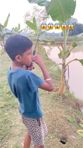 Little Angler, Big Catch — Giant Snakehead Hunt #fishing #fishingvideo #snakeheadfishing