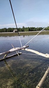 Native Channel on Reels