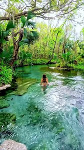 18K views · 161 reactions | Swimming in crystal clear water and beautiful springs  Florida is home to some of the most beautiful springs in the world! Tag who you would take on a #Floridasprings trip ☀️ Save for your Must See Florida bucket list! : @euphoricdiscovery Florida Tag #mustseeflorida to share your experience in FLRDA! - Follow @mustseeflorida | Must See Florida | Facebook