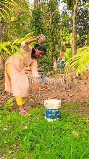 cienimatic shot...#shorts#subscribe#vitha family