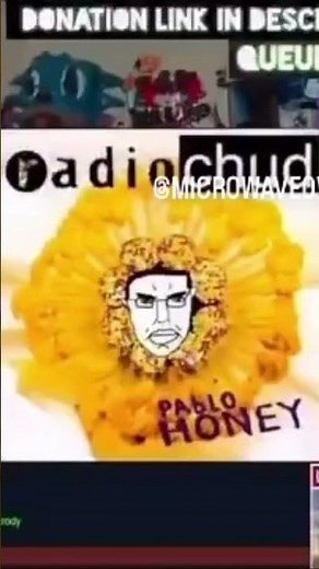 Radiochud