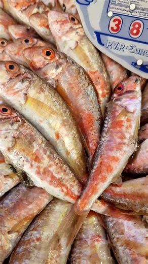 🔵🔴 l'arrivage du jour le 02 mars chez poisson 🐟 bio 🐙🦐🦐 🔴🔵 numéro de téléphone : 0796 73 02 56/0663 88 38 78 🛵 🛵 🔵🔴 localisation : les castors mostaganem 🐙 🦐 🐙 #fish #FreshFish #algeria #FishMarket #foryou