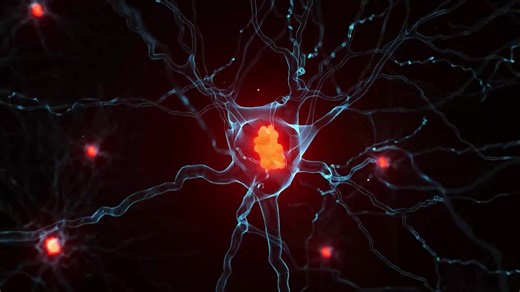 El mejor amigo del hombre… ¿para la eternidad? Luna es una perrita robot creada por una empresa sueca de inteligencia artificial, diseñada para demostrar que puede aprender y adaptarse como un perro de carne y hueso. La tecnología ha avanzado tanto que puede traer de regreso a tu fiel amigo, tal como lo hizo Javier Milei. Salma Domínguez nos cuenta en #AhoraMás | Azteca Noticias