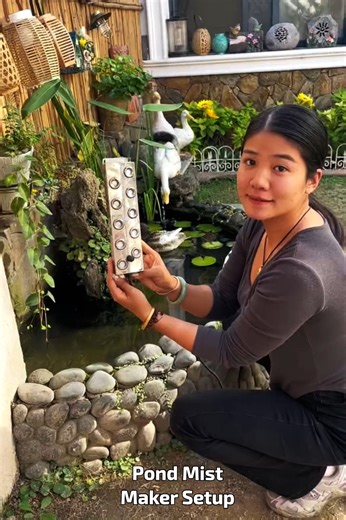 Pond Mist Maker Setup #DIYDecor #GardenMagic #CalmAtmosphere | Fatafatnews
