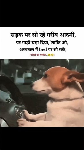 Dogesh bhai 😂🔥#trending #shortsfeed #hindishorts