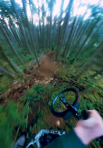 Mega Line Mountain Bike Experience: What to Build Next?