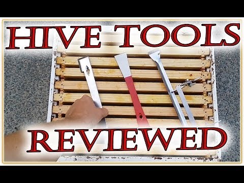 Beekeeping 101 - HIVE TOOL review Beekeepers essential equipment