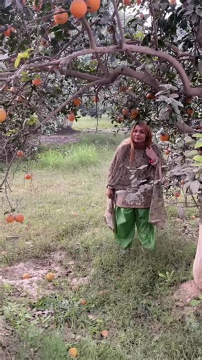 Sheena’s (@sheenabeautysalon63100)’s videos with original sound - Sheena’s