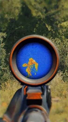 They have more sight than me. WTF in Stalker Gamma #shorts #stalkergamma #gaming #stalker2