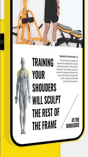 Get a FREE Training Encyclopedia with Your Powertec Home Gym Purchase!