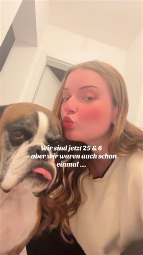 Celebrating 6 Years with My Boxer Dog Family