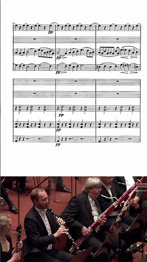 The most beautiful clarinet solo (Brahms Symphony no.3)