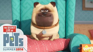 Meet Mel. #TheSecretLifeOfPets | The Secret Life Of Pets