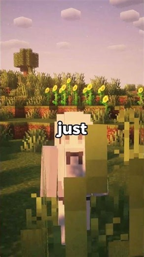 Chunked Is the Best Minecraft Server And Here is Why! #minecraft #minecraftserver #fyp #shorts #smp