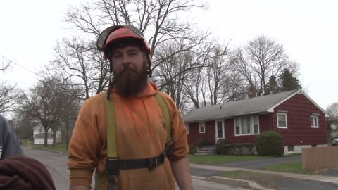 Crew with bucket trucks saves cat from tree in Batavia