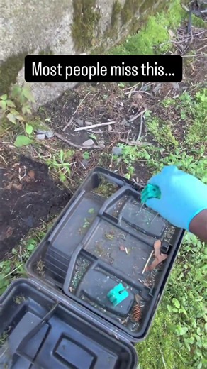 Most people miss this… Rodent bait stations are one of the most common tools used in pest control