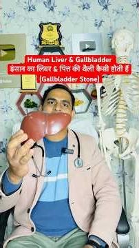Human Liver & Gallbladder | Gallbladder stones । लिवर एवं पित्त की थैली की पथरी #viral #shorts के