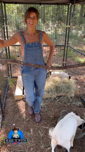 Arnie’s house | Mary Burke