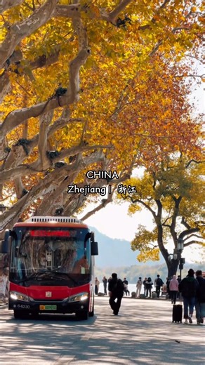 Explore the Charm of Zhejiang: Scenic Vistas and Culinary Delights