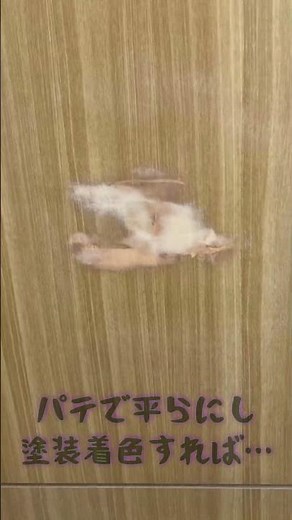 【宮城県仙台市】賃貸住宅の扉凹みを補修します！