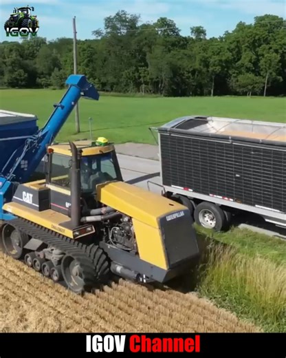 CLAAS Lexion 760 TT Combine Harvesting Wheat with a CAT 65C Tractor 🚜 Part 3 #TractorPower #HeavyEquipment #FarmMachines | Igov Channel