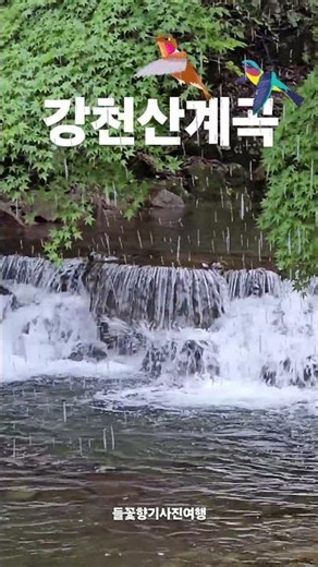 순창 강천산 계곡 물소리 #travel #감성쇼츠 #아름다운풍경 #계곡물소리 #새소리
