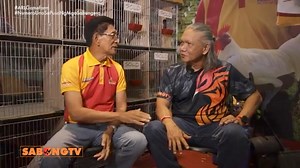 7.7K views · 226 reactions | WHITE HATCH of ARL GAMEFARM / ART LOPEZ DISCLAIMER:No copyright infringement intended,Video is for educational purposes only,Credits to the owner of the video. | Resha GF | Facebook