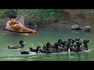 Survival In The Rainforest - DUCH