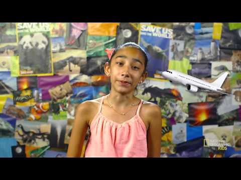 Find Out How Birds Fly | Nat Geo Kids Birds Playlist