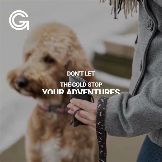 Zippo Hand Warmer Review – 12 Hours of Reliable Heat for Every Use