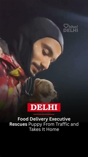 Food Delivery Executive Rescues Puppy From Traffic and Takes It Home